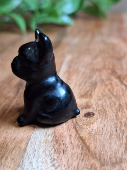 BLACK OBSIDIAN FRENCH DOG