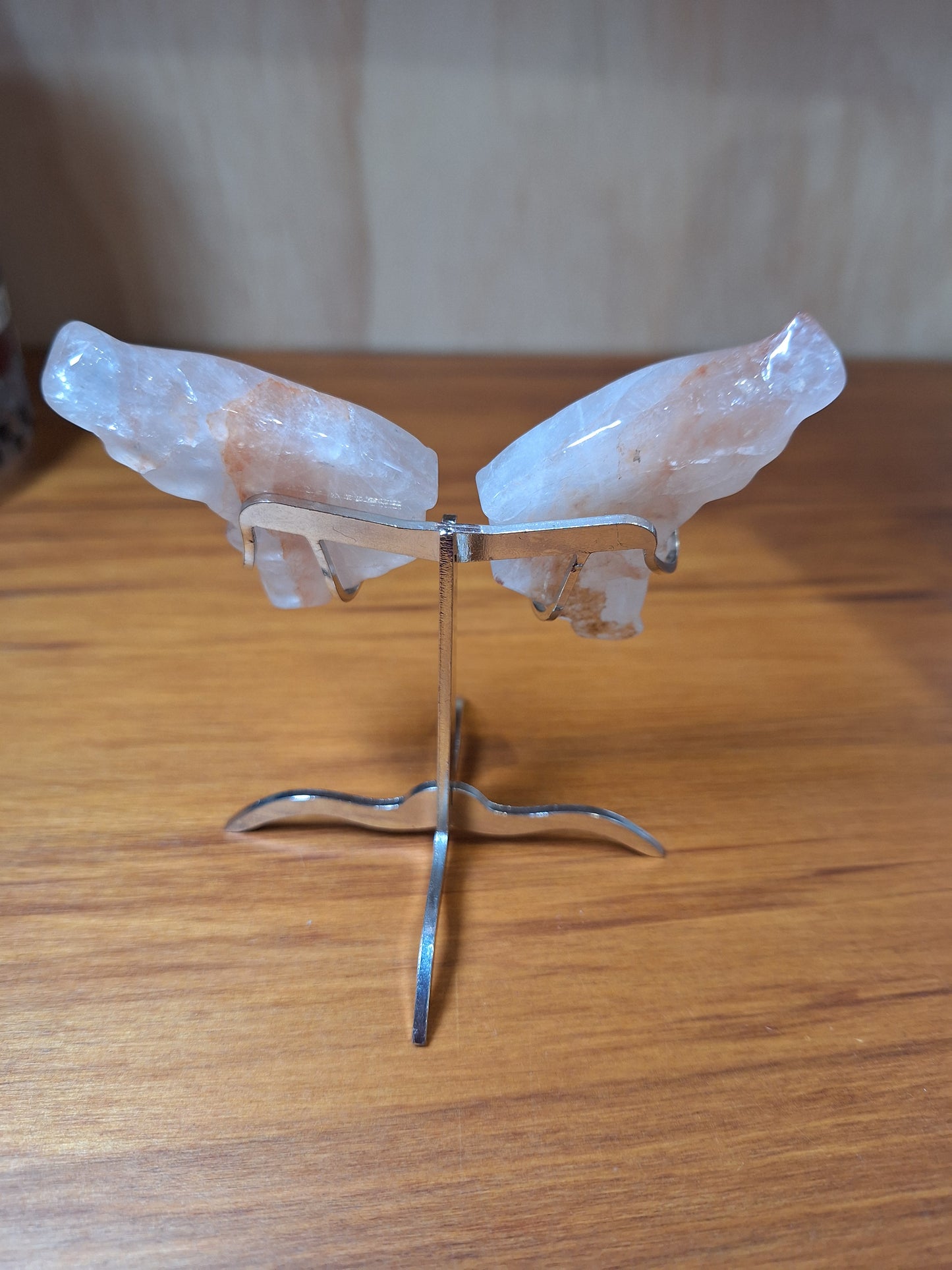 GORGEOUS BUTTERFLY WINGS ON A STAND (SMALL)