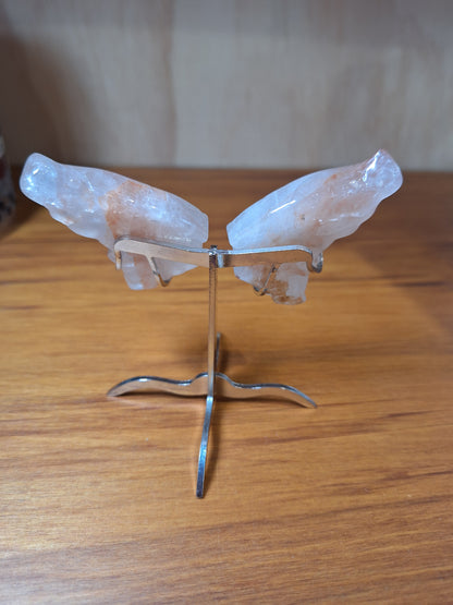 GORGEOUS BUTTERFLY WINGS ON A STAND (SMALL)