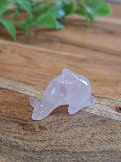 CRYSTAL DOLPHINS (MINI & SMALL)