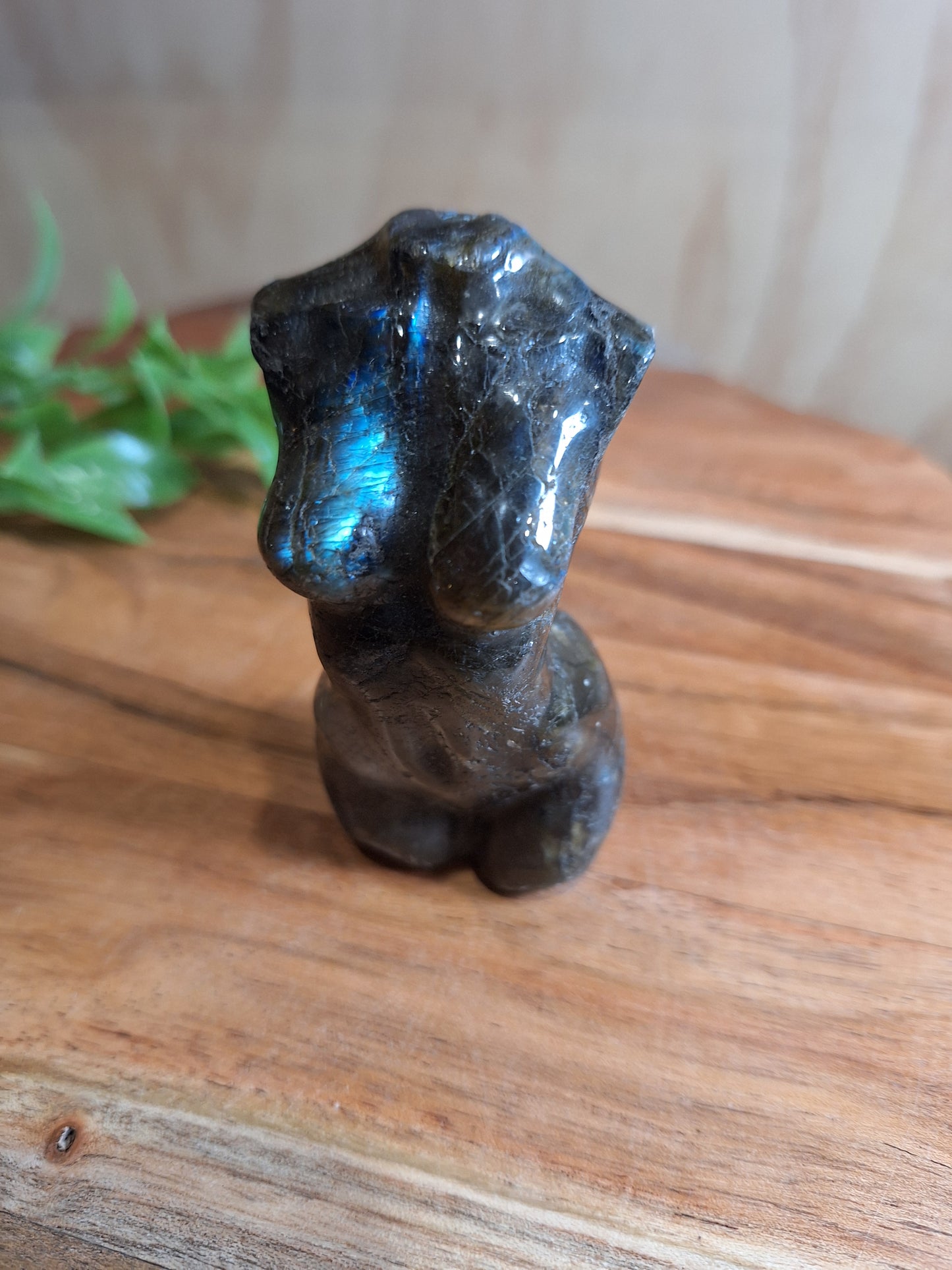 LABRADORITE LADY BODIES