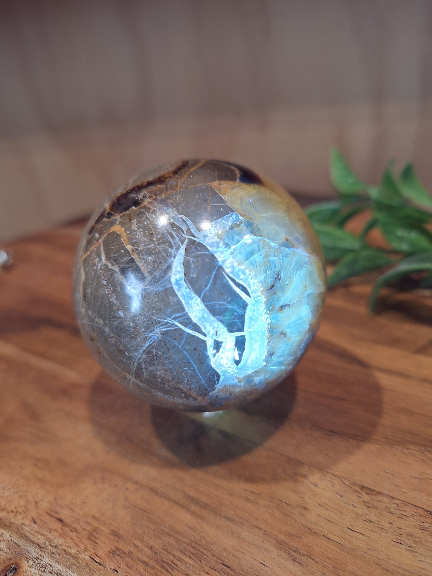 SEPTARIAN SPHERES