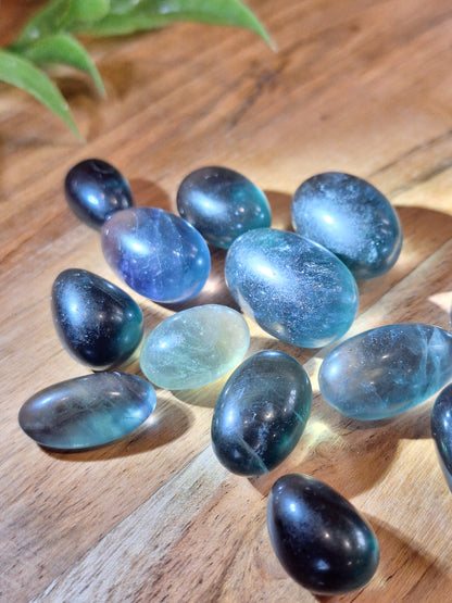 FLUORITE TUMBLES