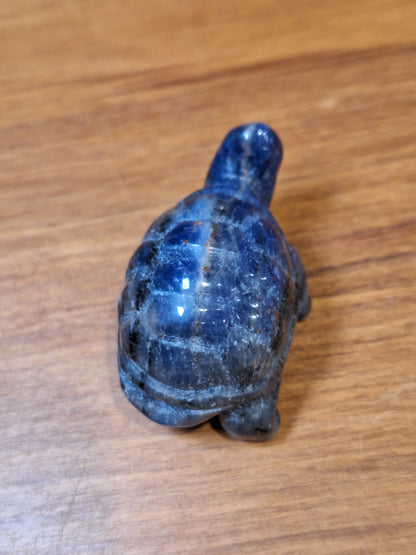 SODALITE TURTLE