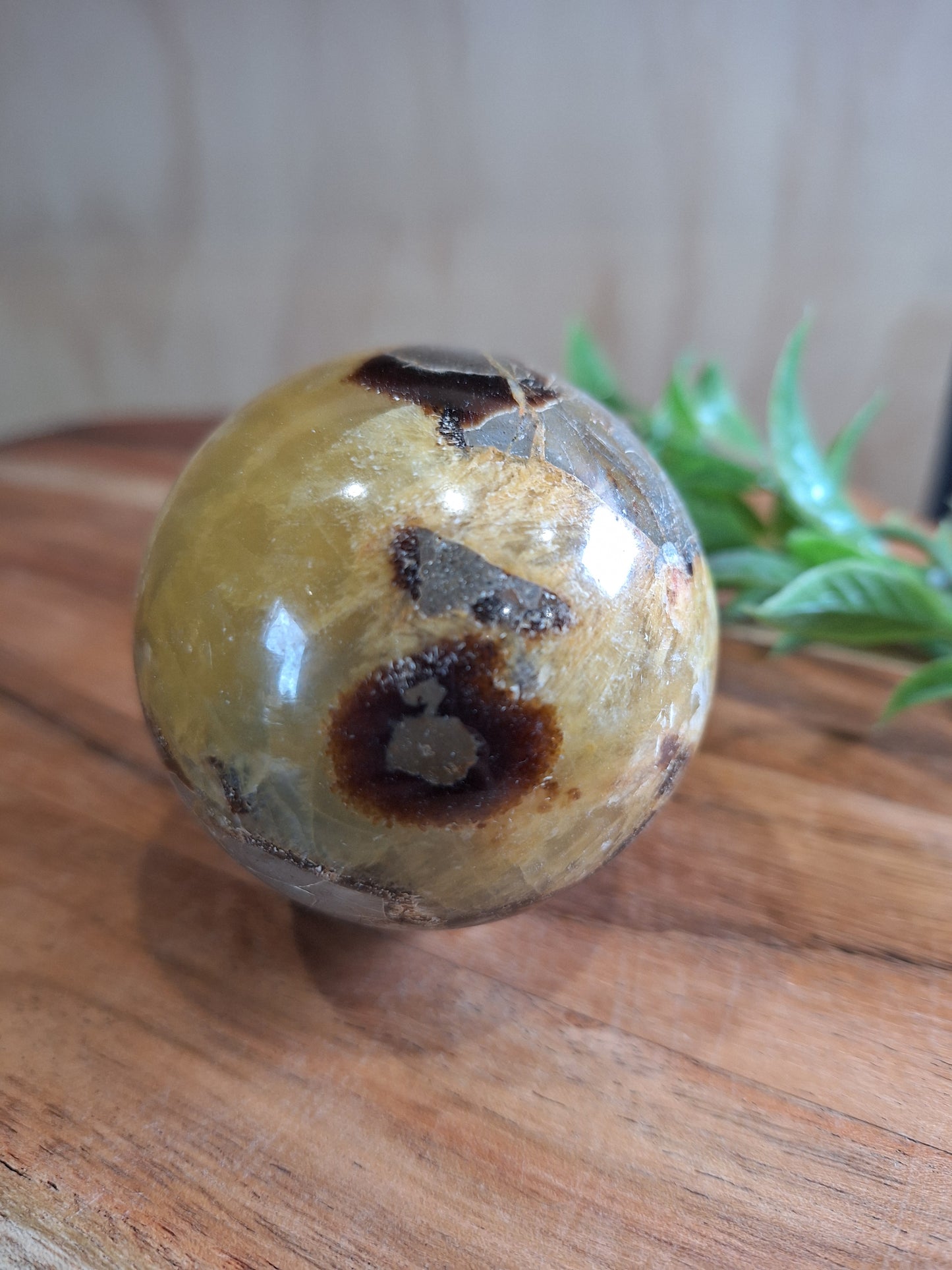 SEPTARIAN SPHERES