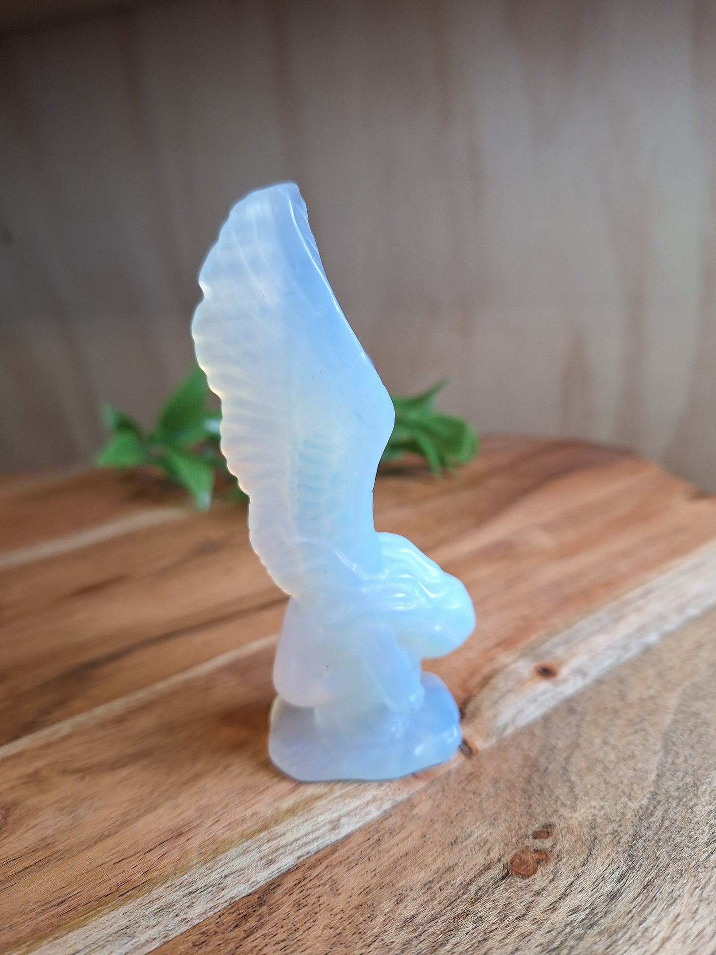 ANGELS