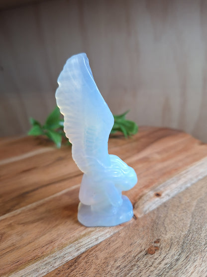 ANGELS