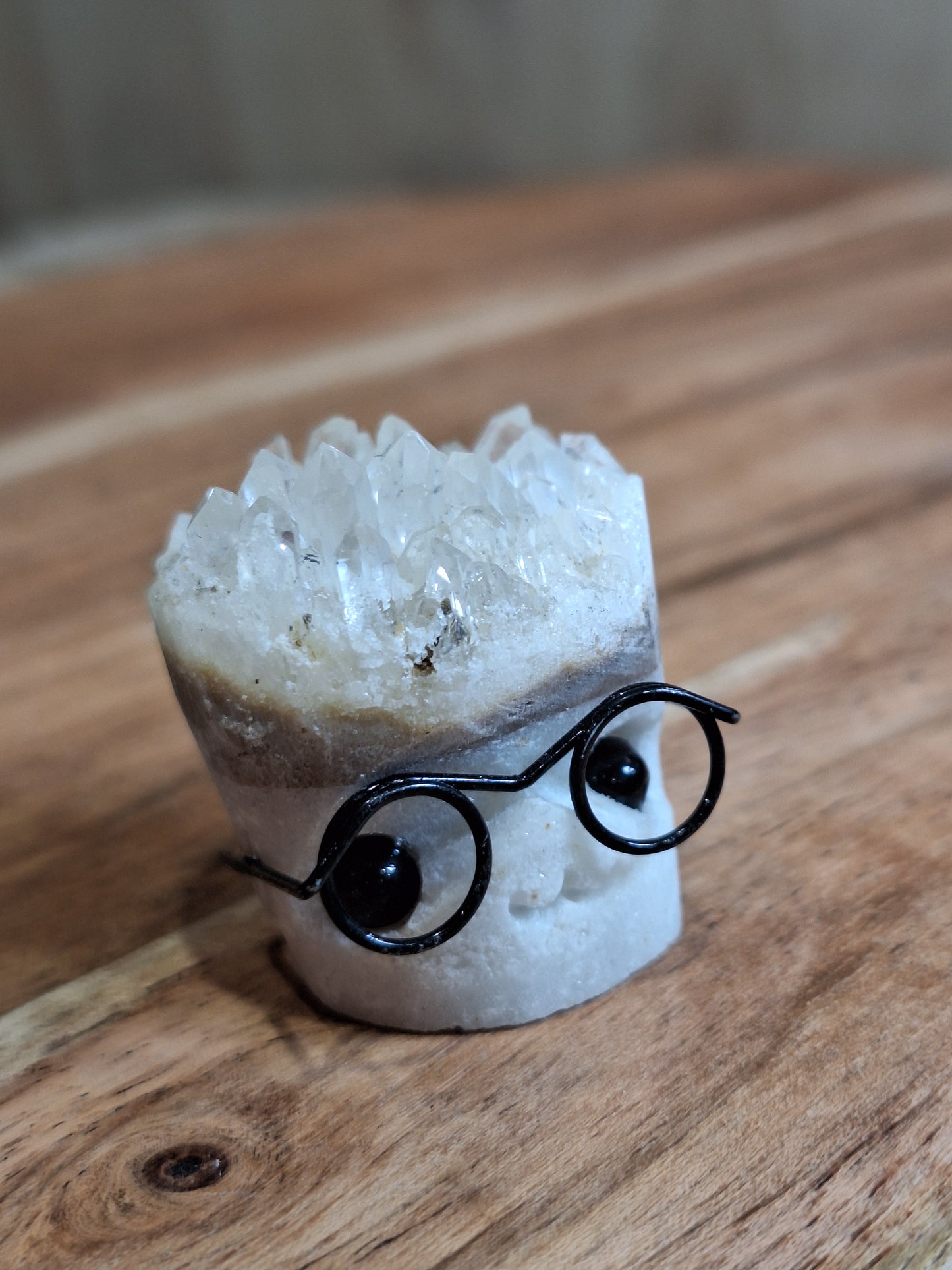 ROCK PETS (CRYSTAL)