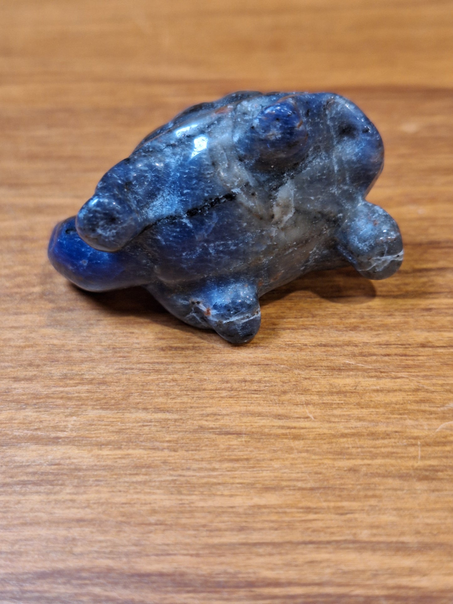 SODALITE TURTLE