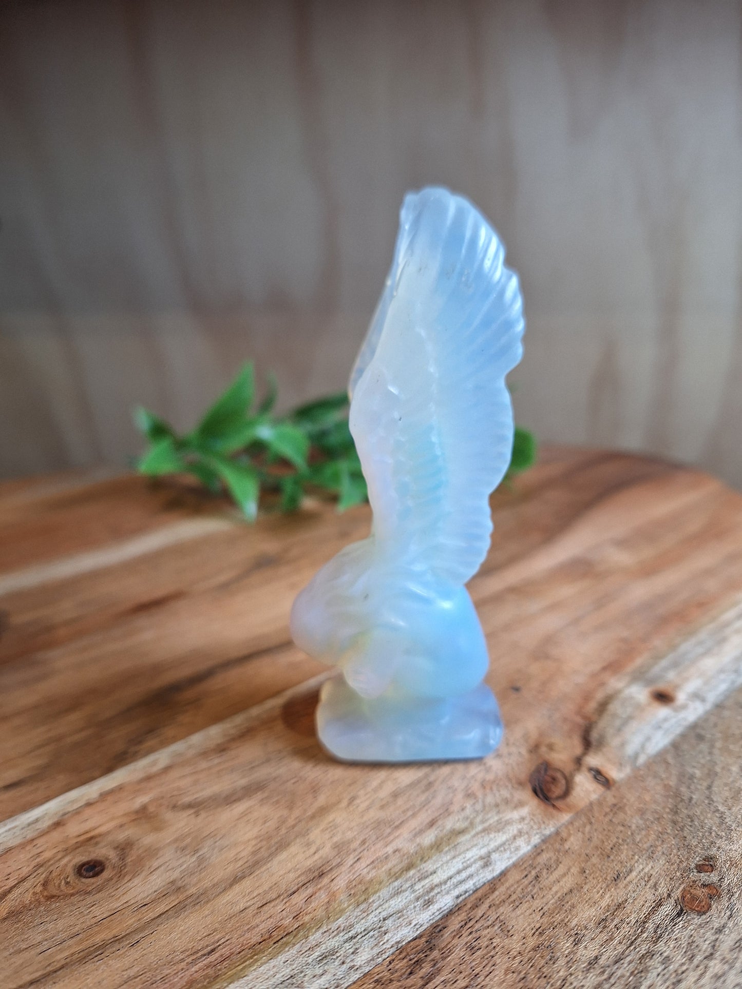 ANGELS