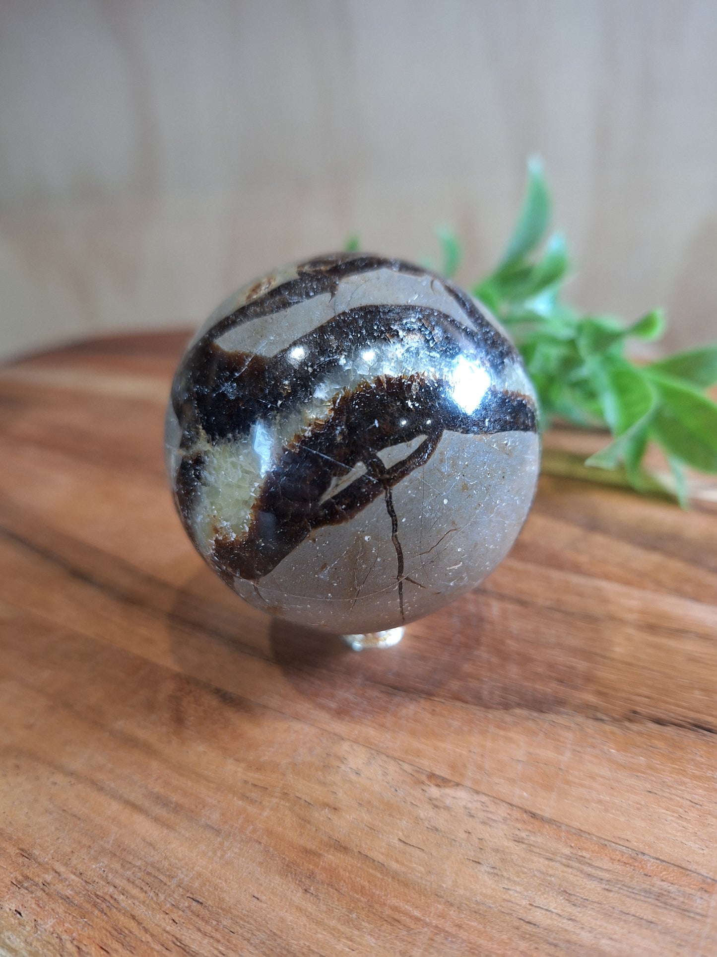 SEPTARIAN SPHERES