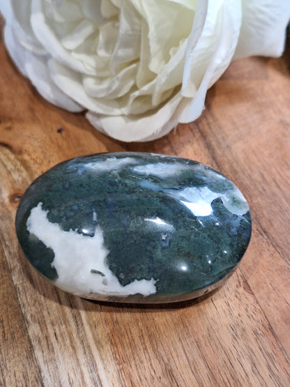 PALM STONES (MEDIUM & LARGE)