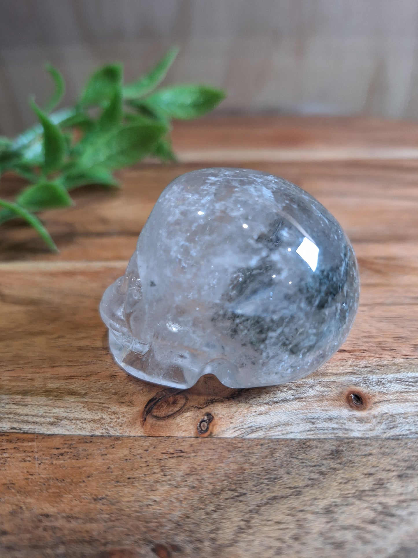 CLEAR QUARTZ SKULL WITH A SMALL GARDEN