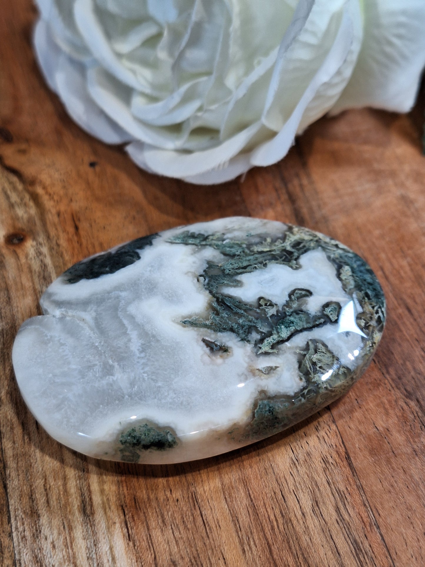 PALM STONES (MEDIUM & LARGE)