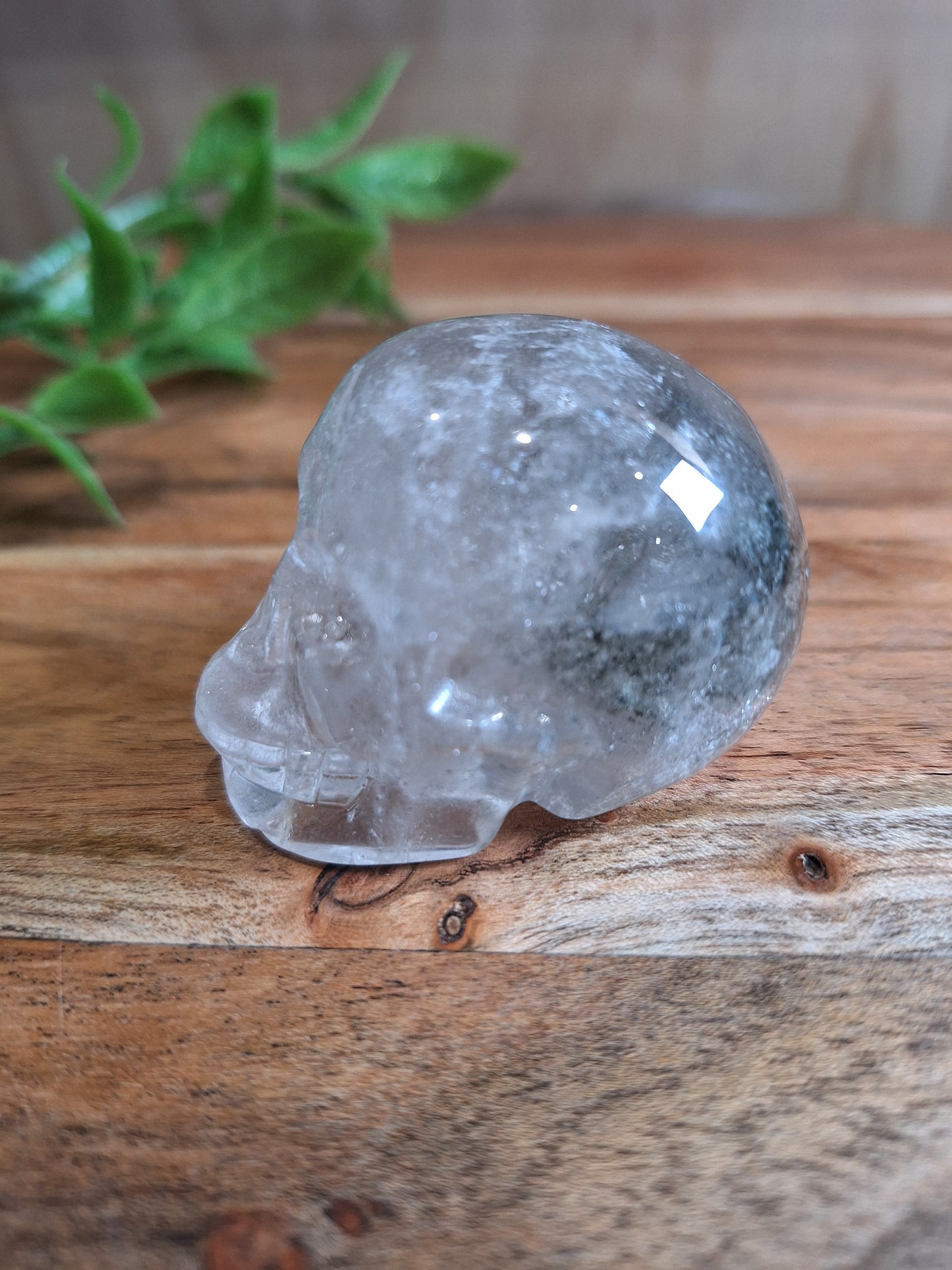 CLEAR QUARTZ SKULL WITH A SMALL GARDEN