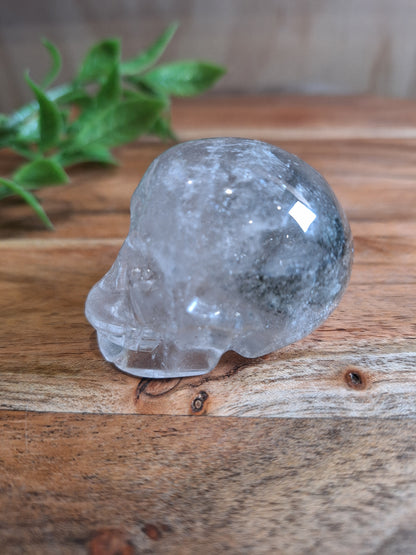 CLEAR QUARTZ SKULL WITH A SMALL GARDEN