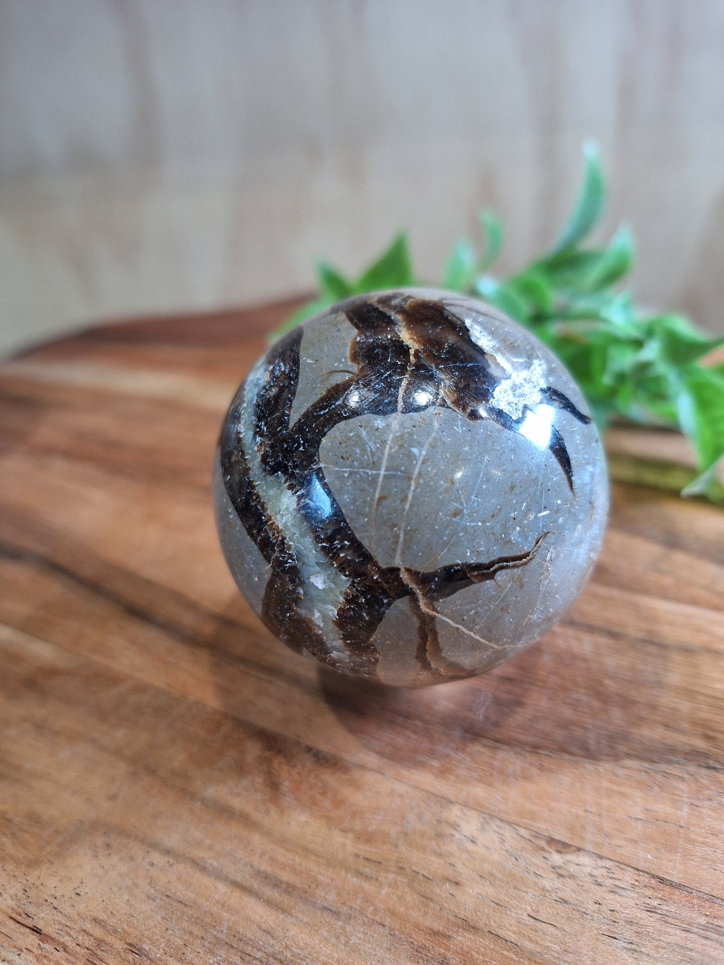 SEPTARIAN SPHERES