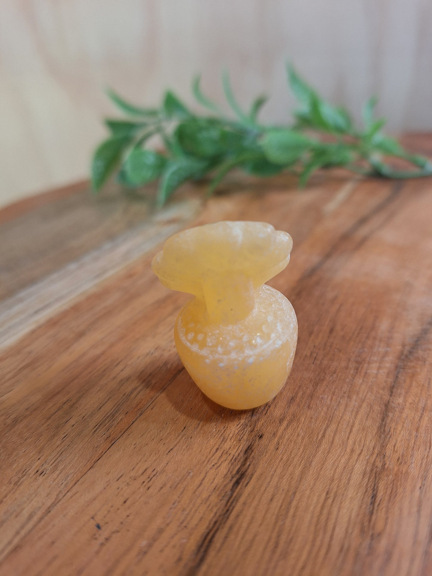 CRYSTAL FLOWER POTS