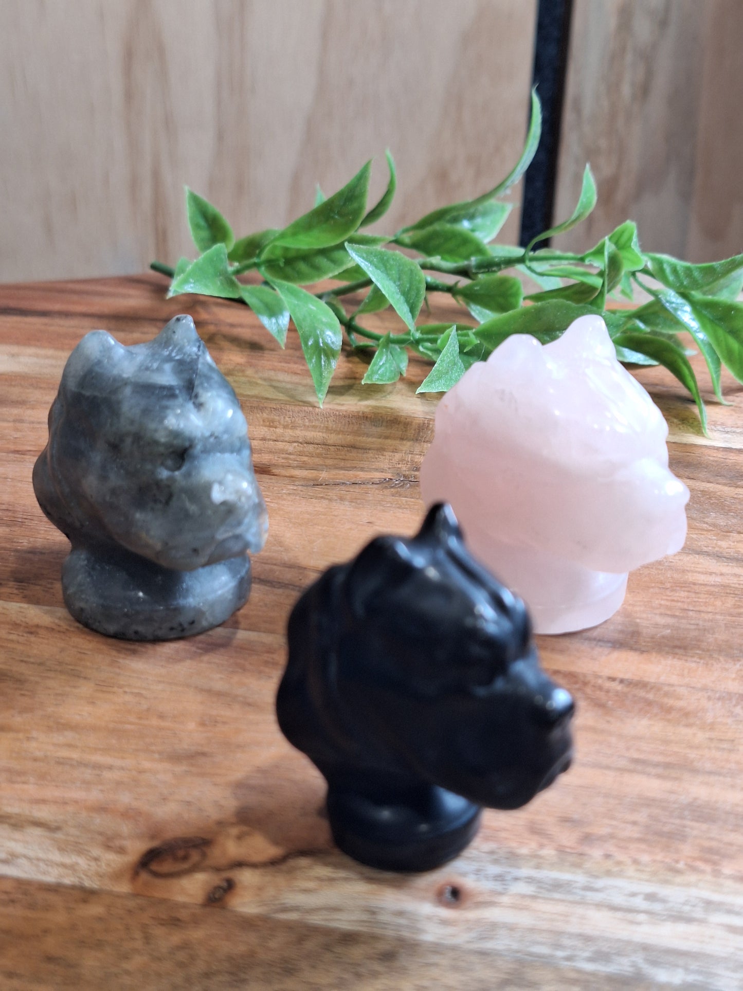 CRYSTAL DOG HEADS