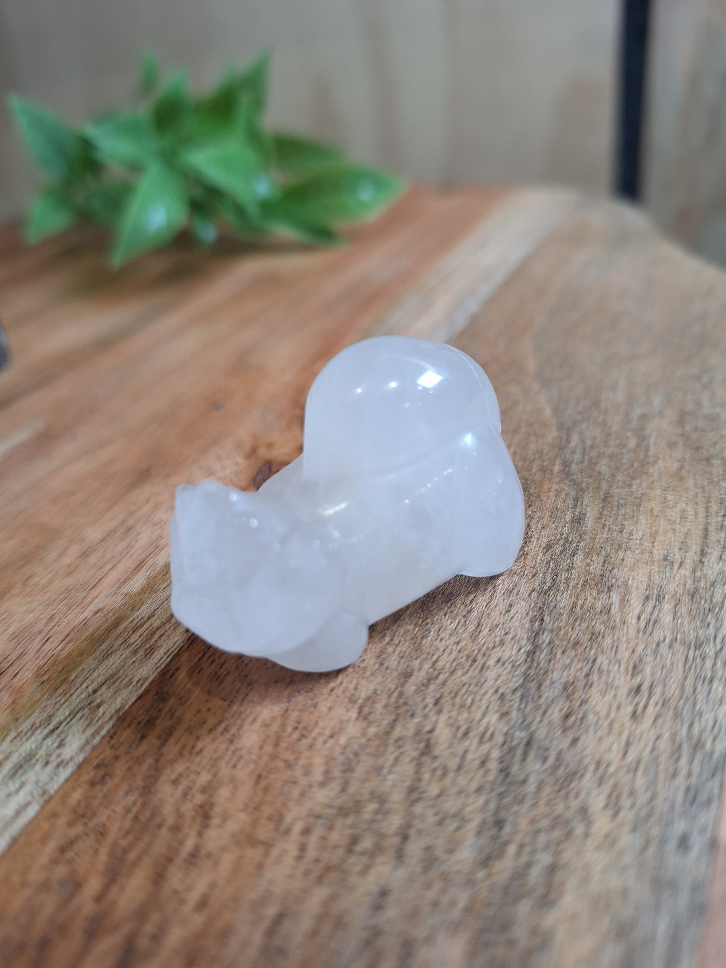 CRYSTAL CHESHIRE CATS (POUNCING)