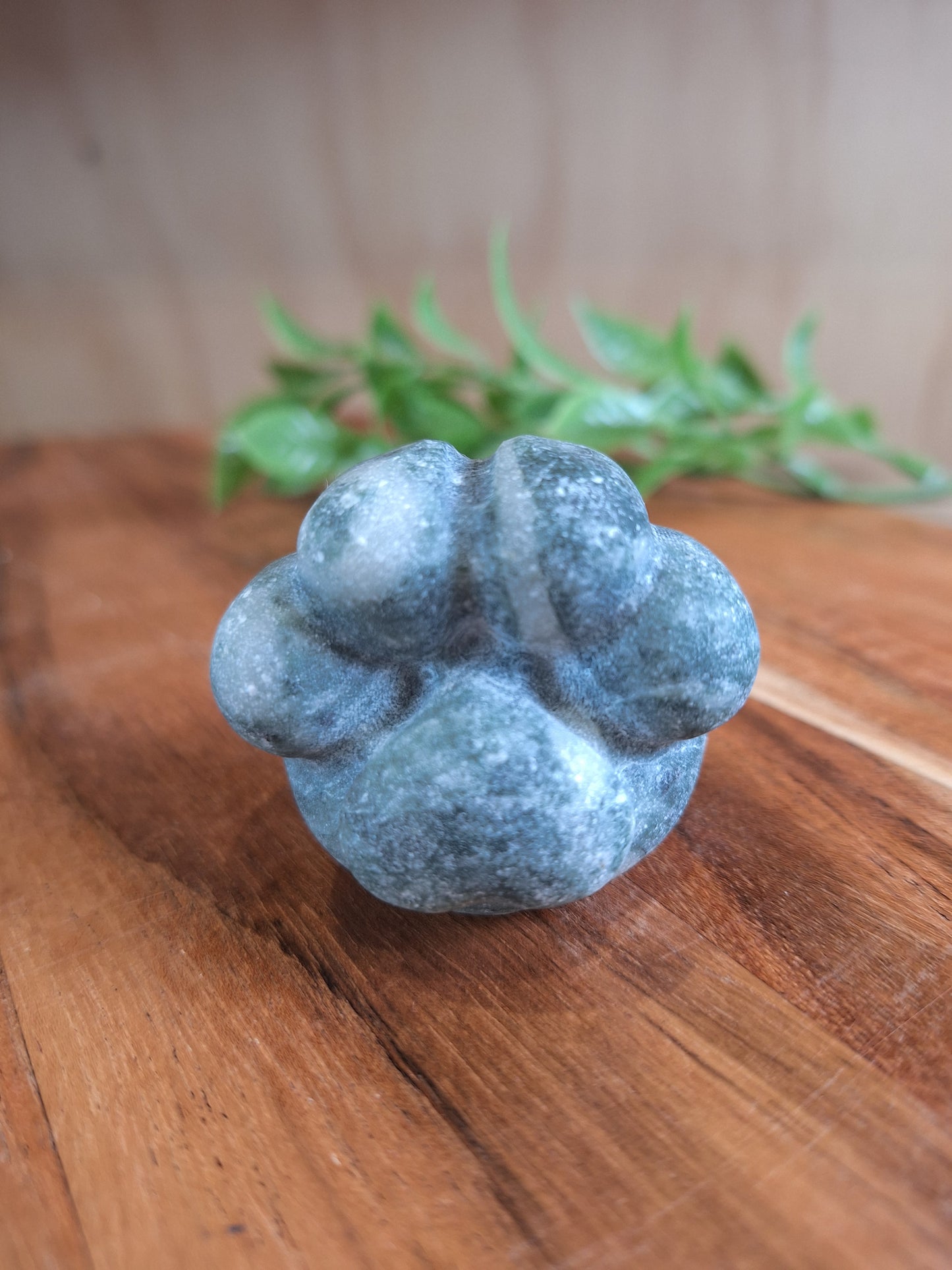 CRYSTAL DOG PAWS (SMALL-MEDIUM-LARGE)