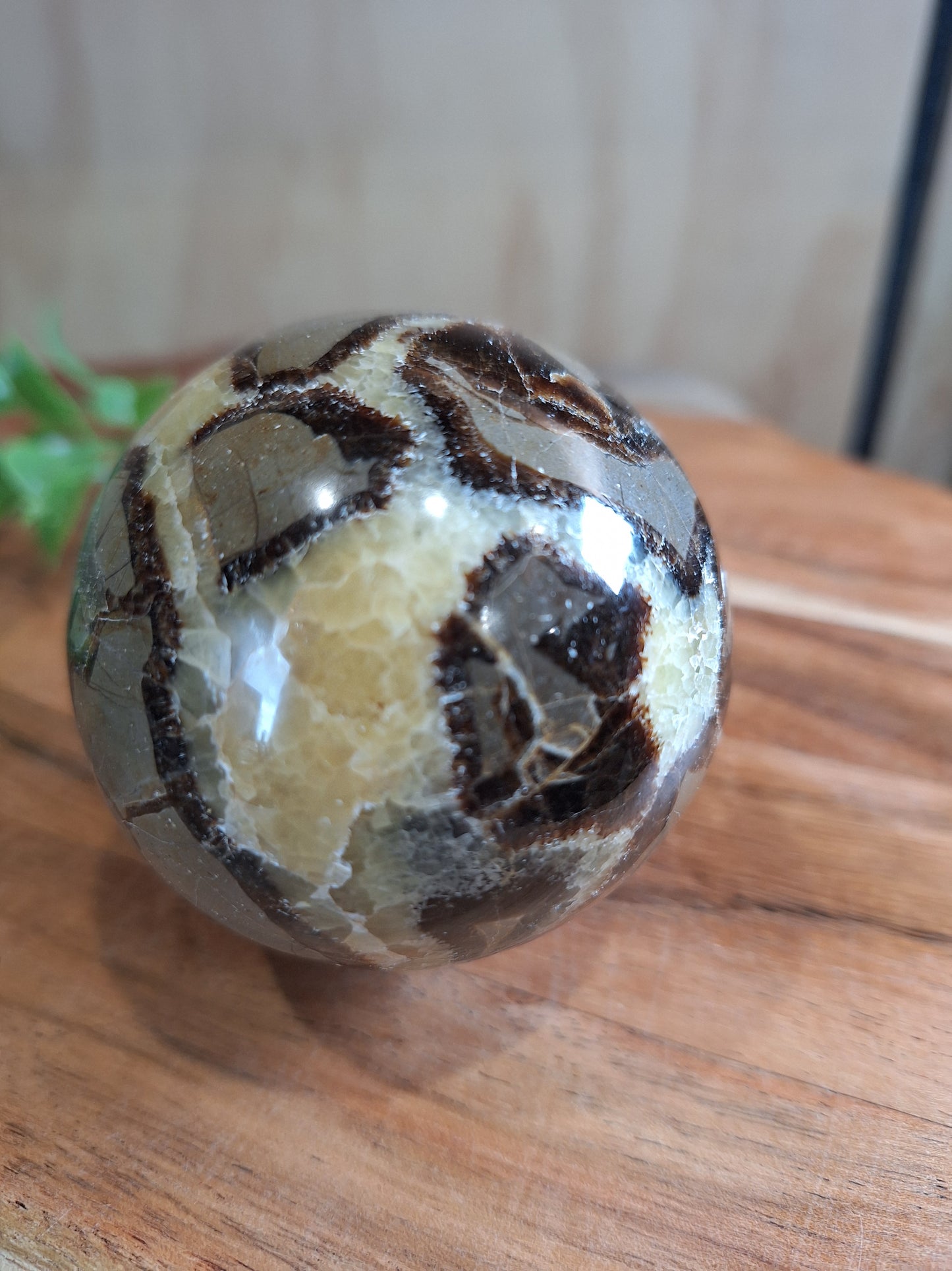 SEPTARIAN SPHERES