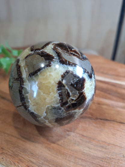 SEPTARIAN SPHERES