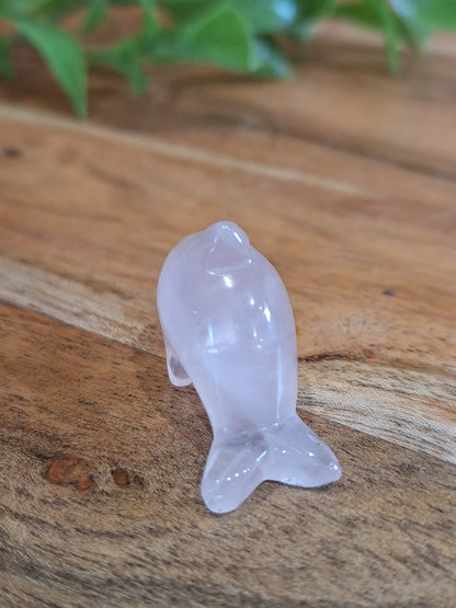 CRYSTAL DOLPHINS (MINI & SMALL)
