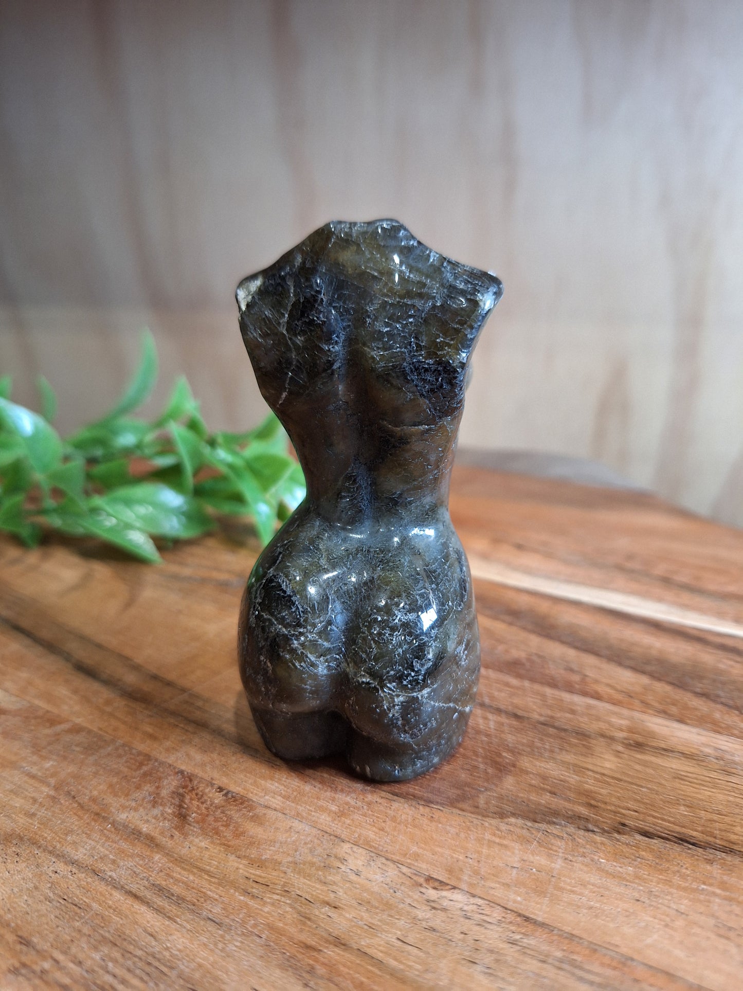 LABRADORITE LADY BODIES