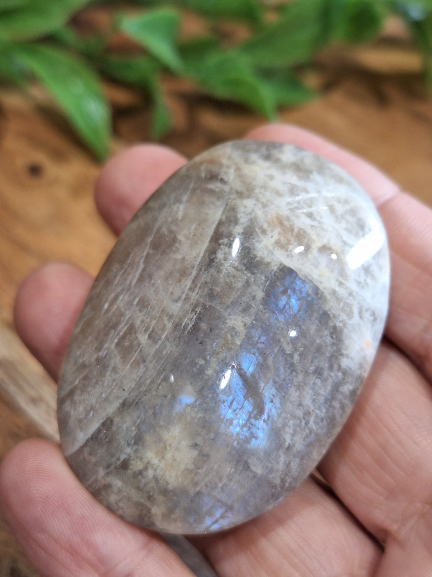 PALM STONES (SMALL)