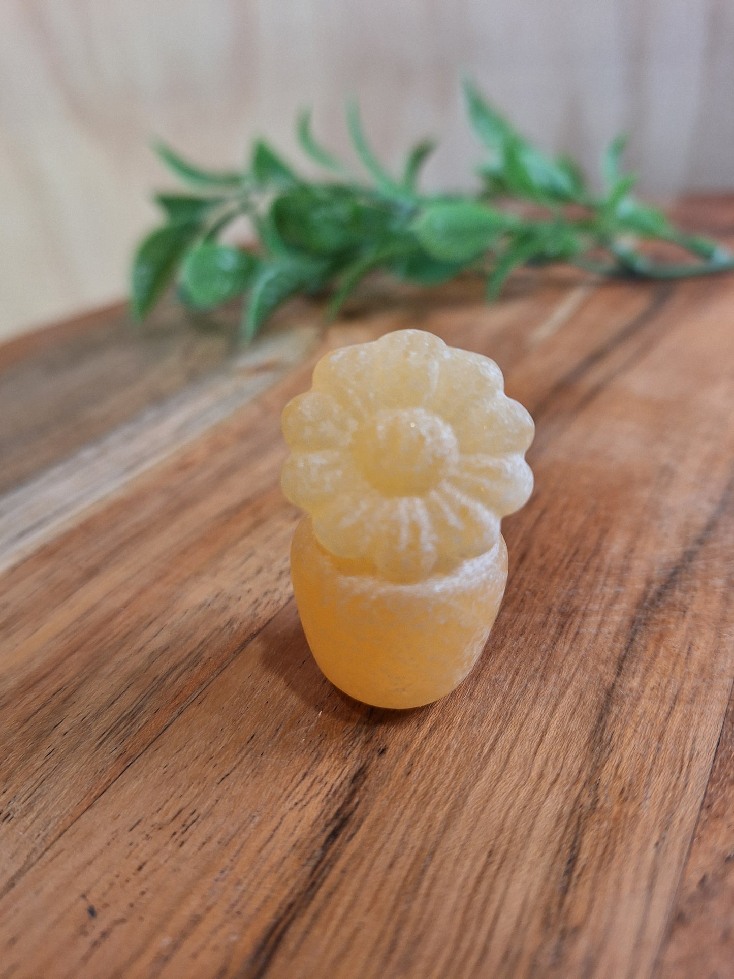 CRYSTAL FLOWER POTS