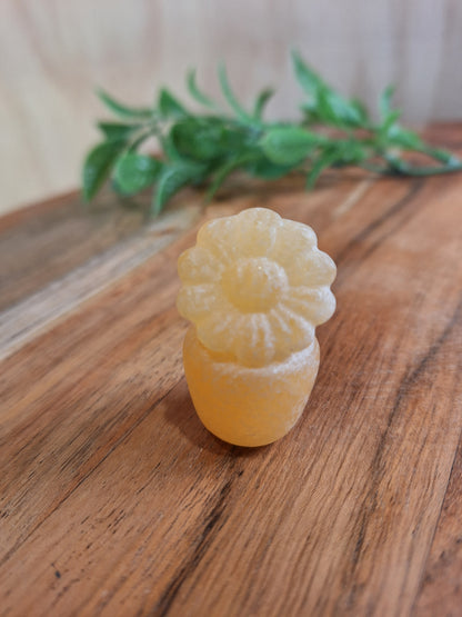 CRYSTAL FLOWER POTS