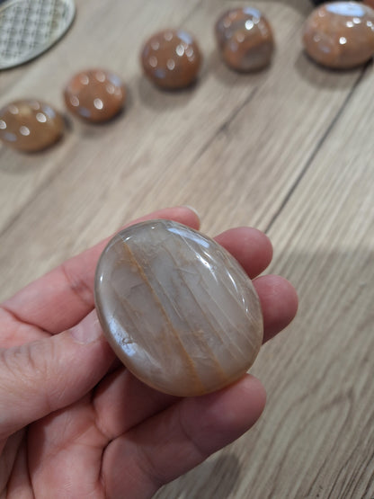 PALM STONES (MEDIUM & LARGE)