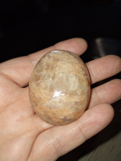 PALM STONES (MEDIUM & LARGE)