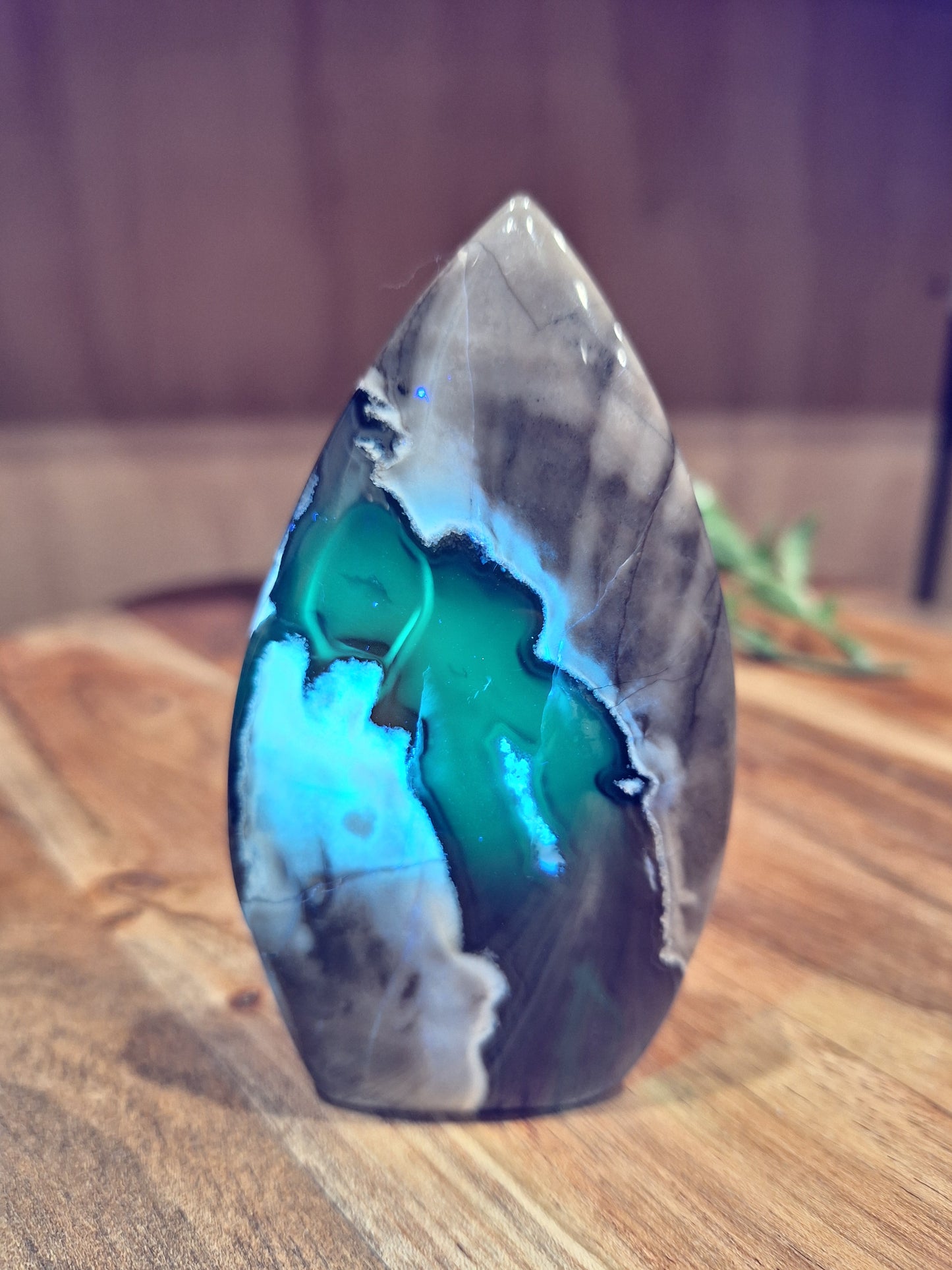 VOLCANO AGATE FREEFORMS
