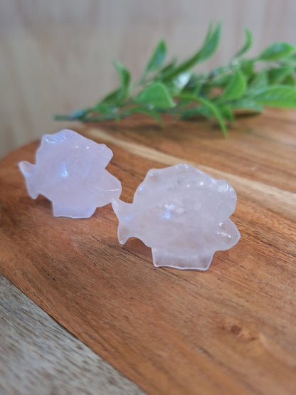 CRYSTAL PIRANHAS