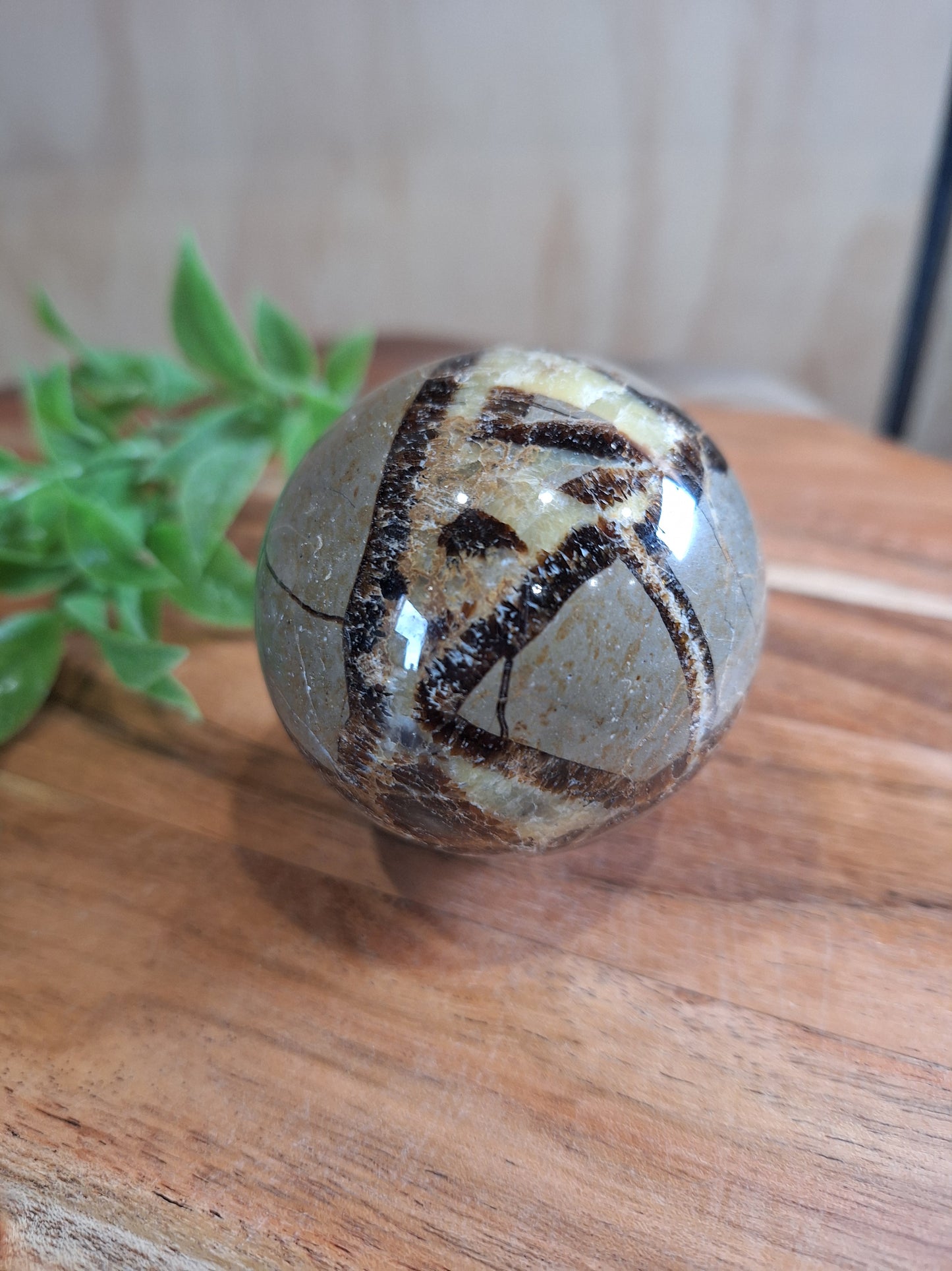SEPTARIAN SPHERES