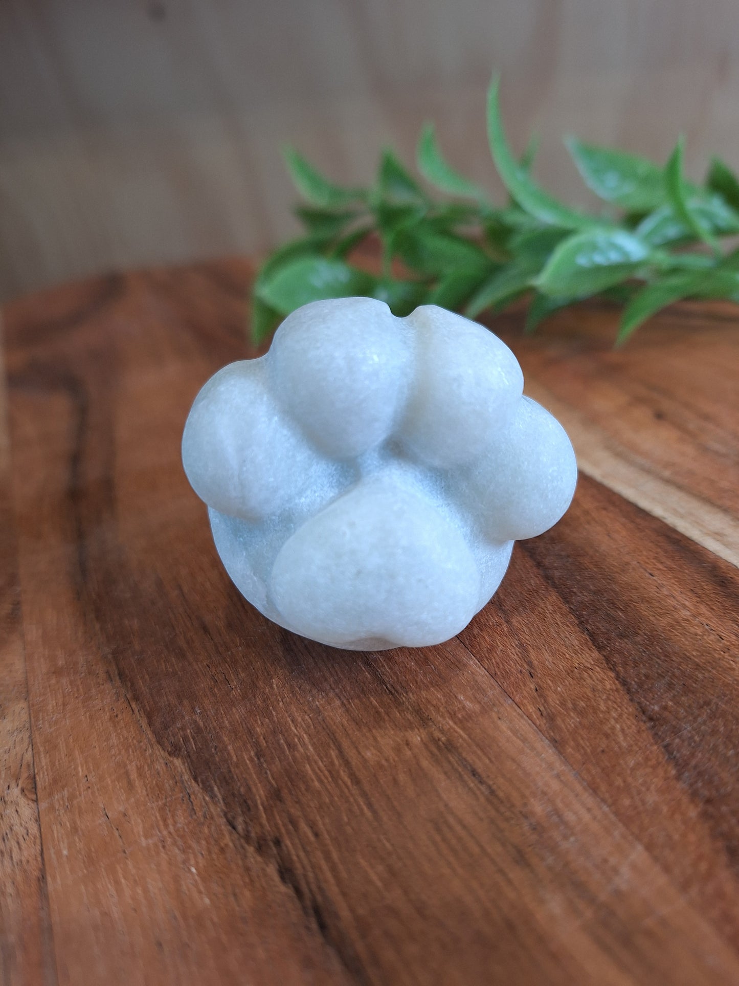 CRYSTAL DOG PAWS (SMALL-MEDIUM-LARGE)