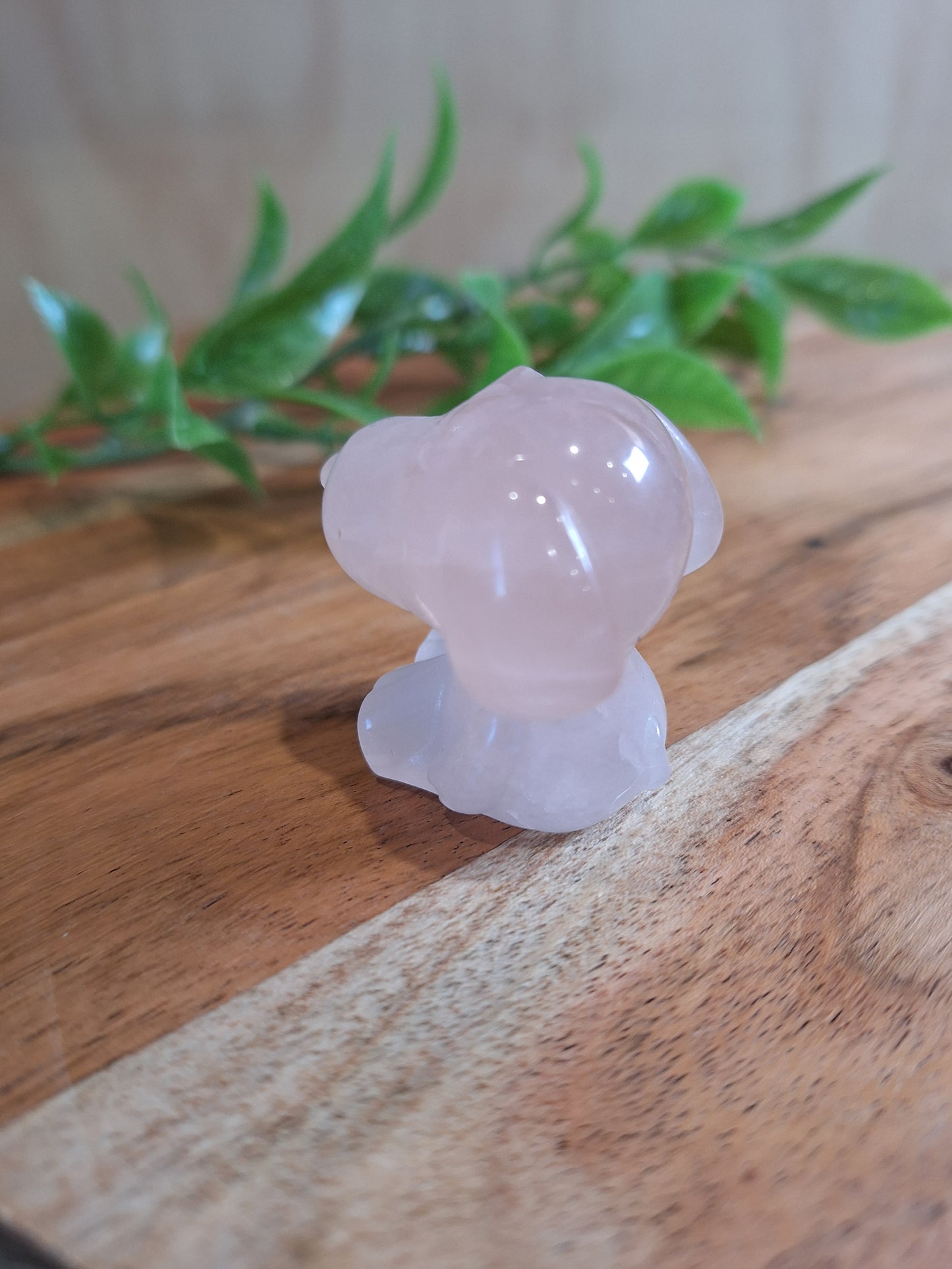 SNOOPY (CRYSTAL)