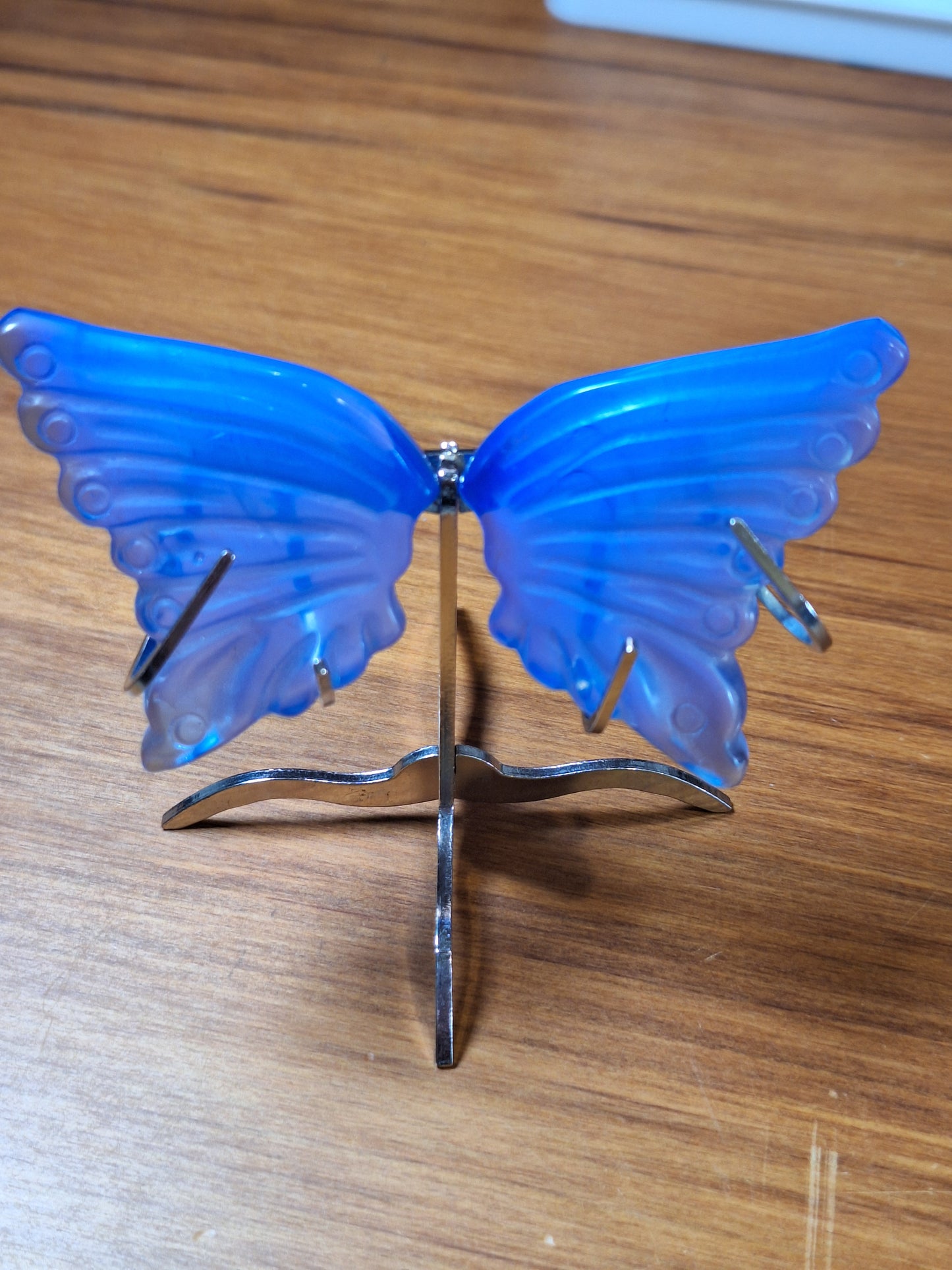 GORGEOUS BUTTERFLY WINGS ON A STAND (SMALL)