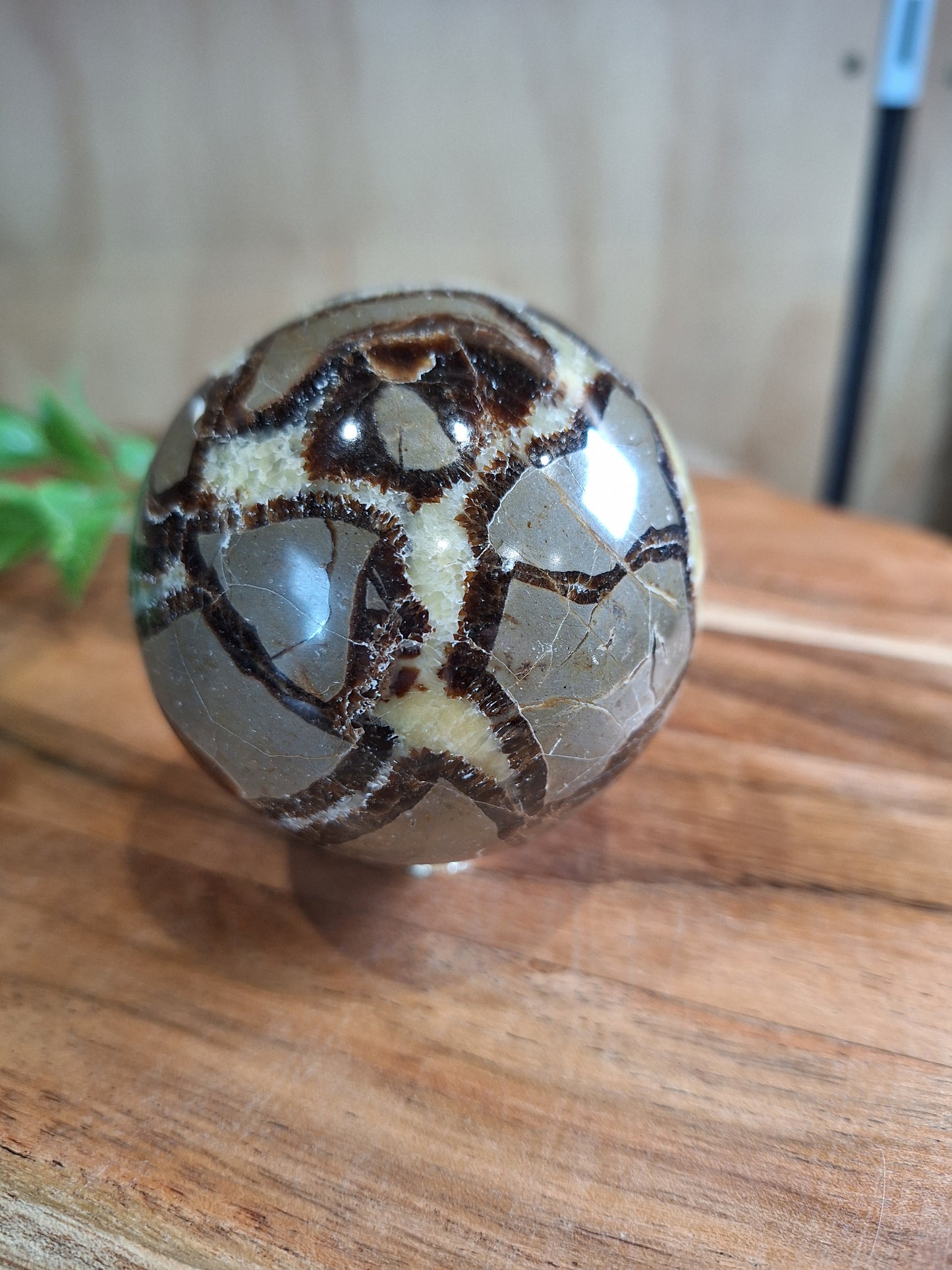 SEPTARIAN SPHERES