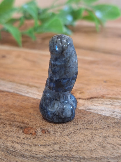 DING DINGS (ADULTS ONLY- MALE PRIVATE PARTS AHEAD)