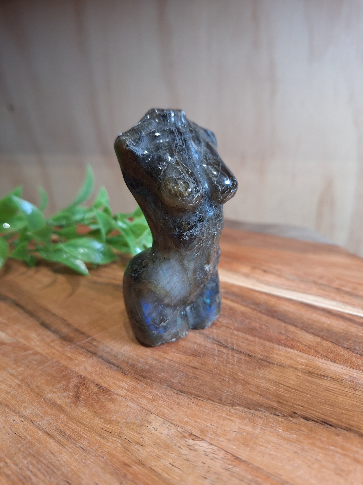 LABRADORITE LADY BODIES