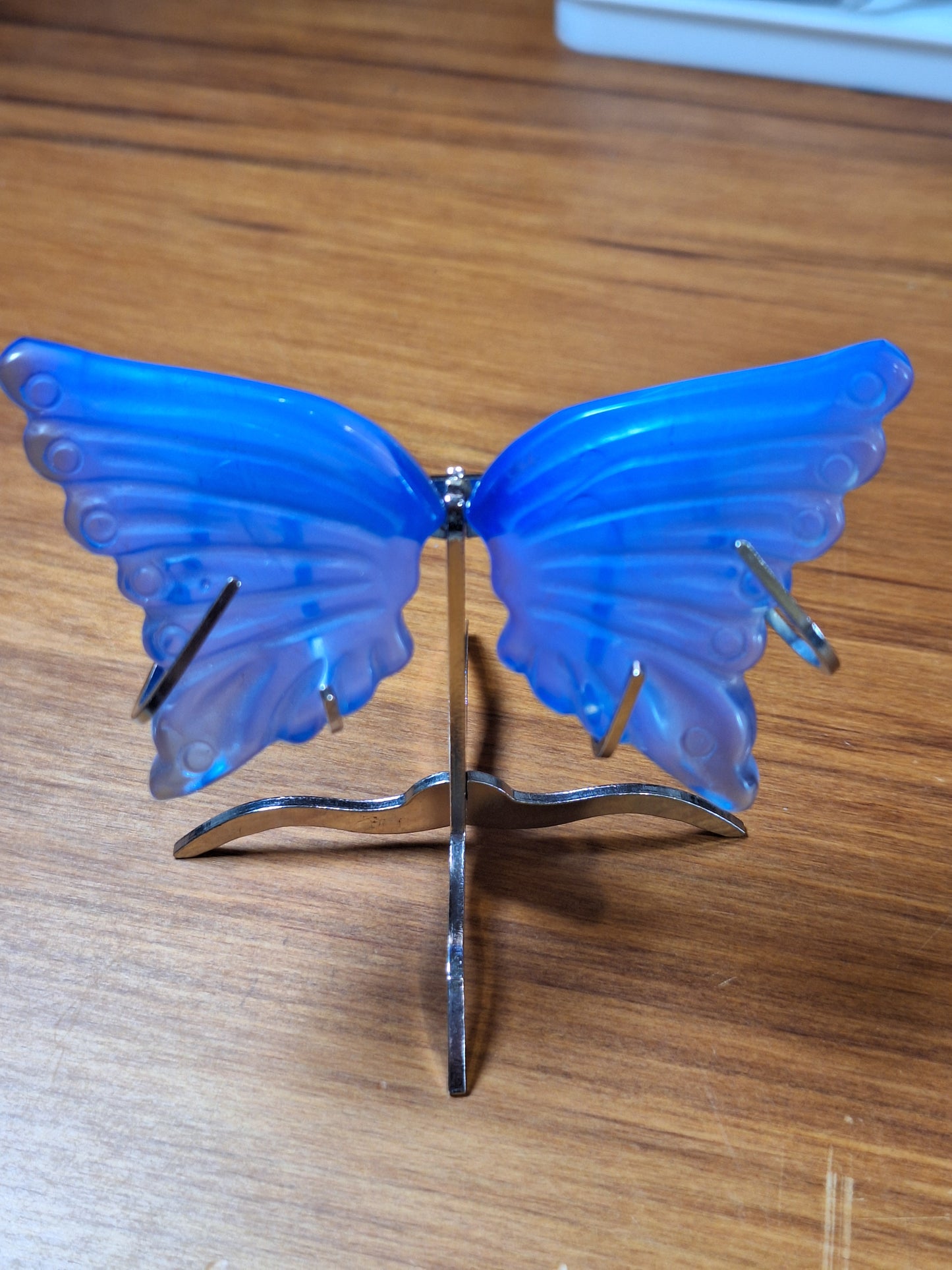 GORGEOUS BUTTERFLY WINGS ON A STAND (SMALL)