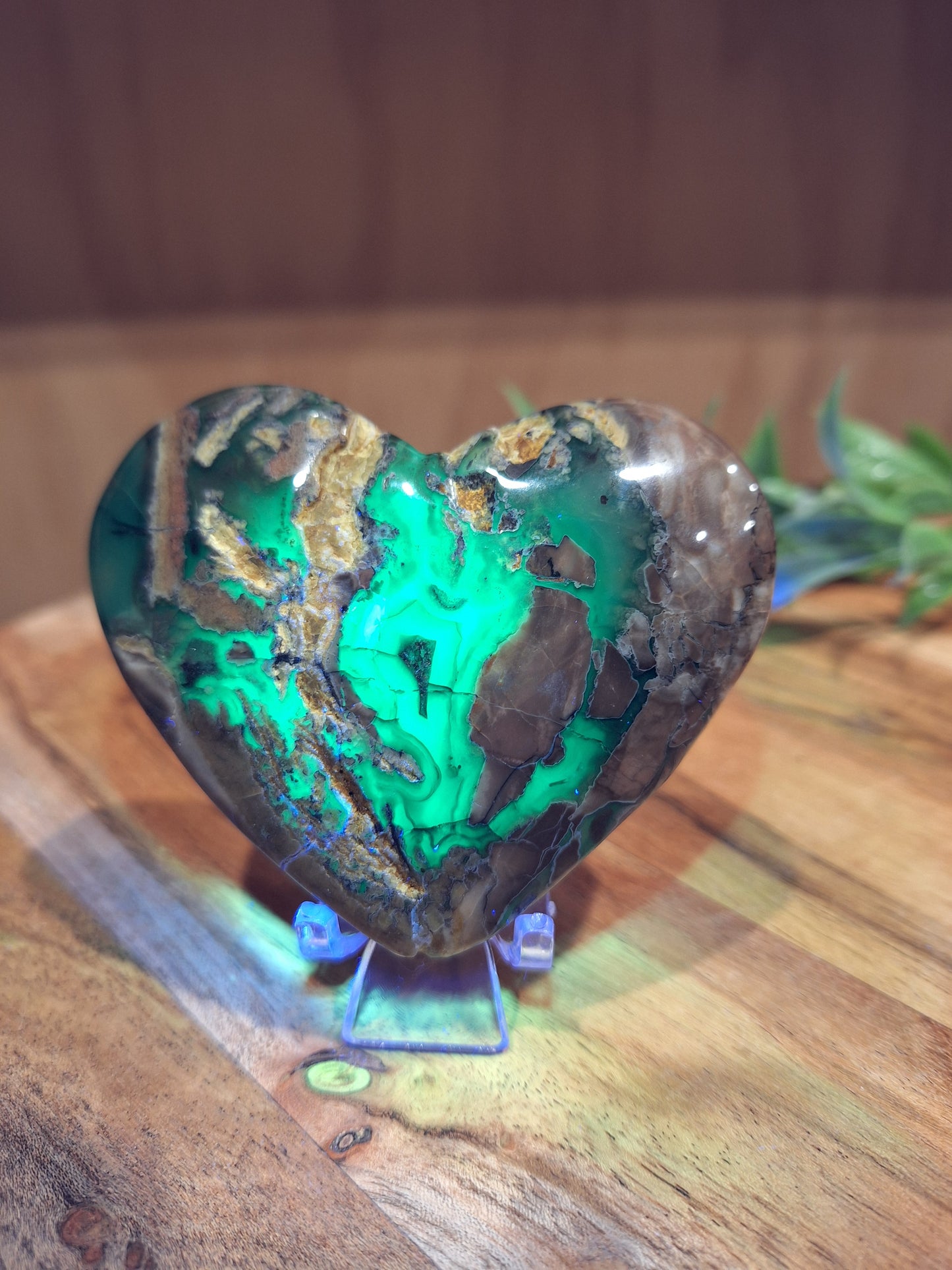 VOLCANO AGATE HEARTS