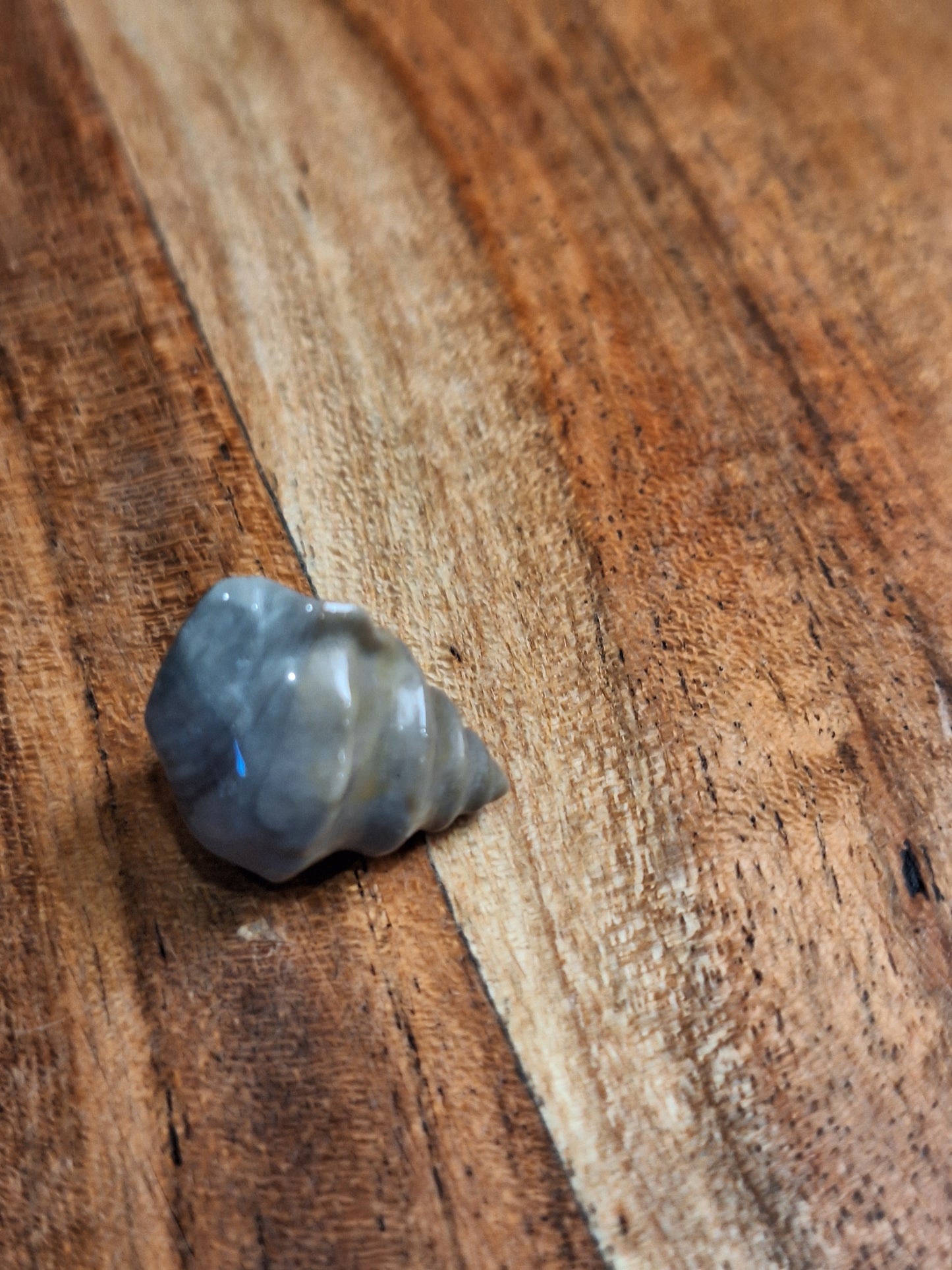OCEAN JASPER MINI CARVINGS