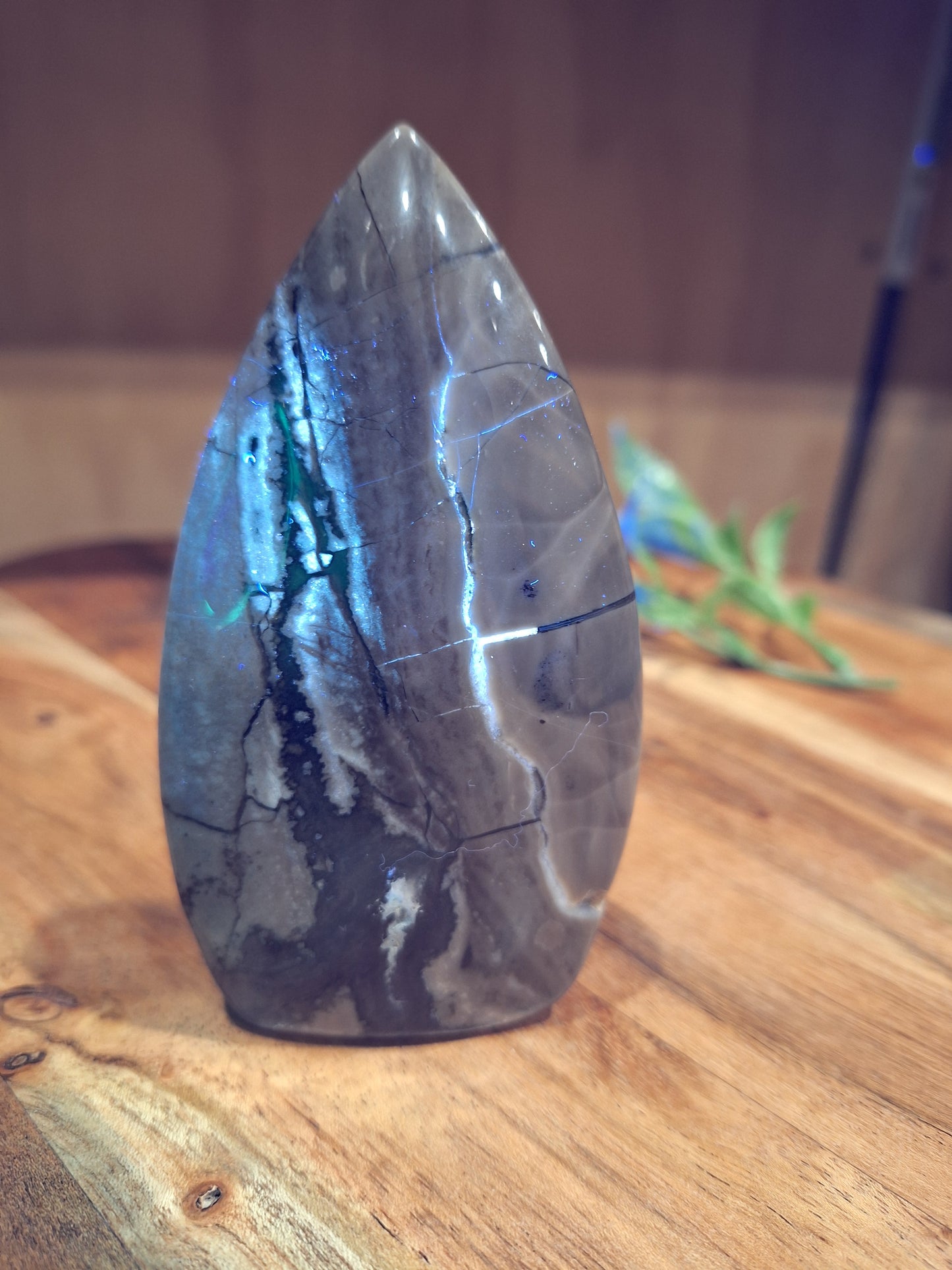 VOLCANO AGATE FREEFORMS