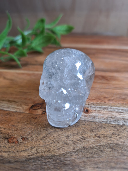 CLEAR QUARTZ SKULL WITH A SMALL GARDEN
