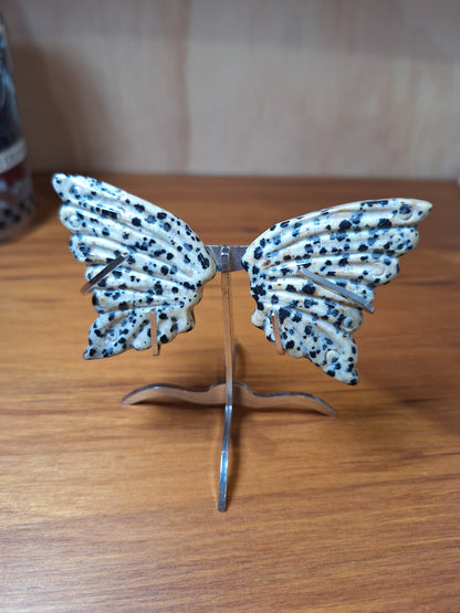 GORGEOUS BUTTERFLY WINGS ON A STAND (SMALL)