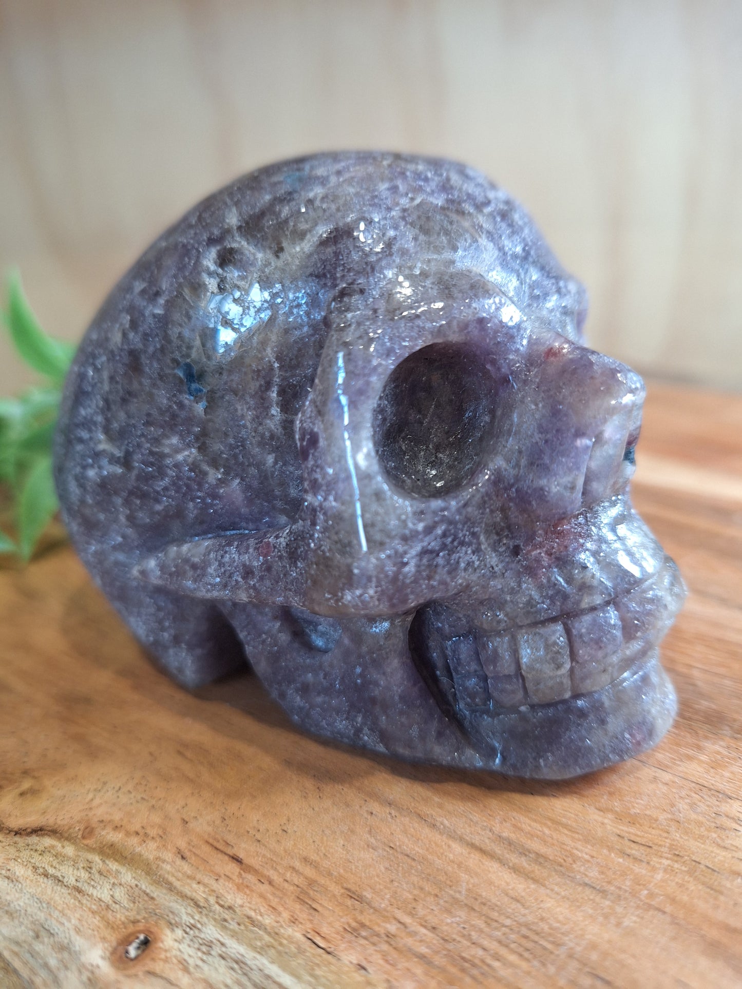 UNICORN SKULL WHOPPING 692grams (LARGE)